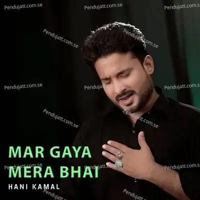 Mar Gaya Mera Bhai - Hani Kamal album cover 