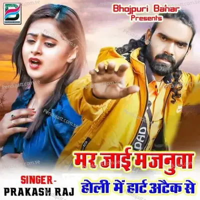 Mar Jaee Majanuwa Holi Me Heart Attack Se - Vaibhav Nishant cover album