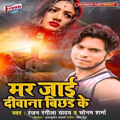 Mar Jai Deewana Bichhad Ke - Ranjan Rangeela Yadav album cover 