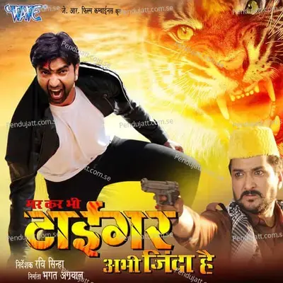 Pura Taiyar Bani Tohre La Saj Ke - Nupur Upadhyay album cover 