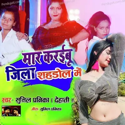 Mar Karabu Jila Shahdol Main - Sunil Panika Dehati album cover 