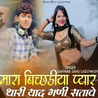 Mara Bichdiya Pyar Thari Yaad Gani Satave - Sanwar Sahu Laduwash album cover 