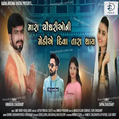 Mara Chaudhary O Ni Mediye Diva Tara Thay - Himanshu Chaudhary album cover 