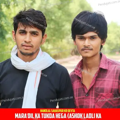 Mara Dil Ka Tukda Hega - Nandlal Sahaspur album cover 