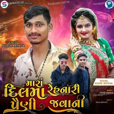 Mara Dil Ma Rehnari Paini Javani - Nilesh Rathva album cover 