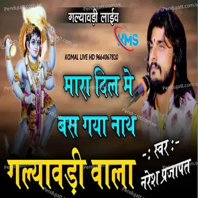 Mara Dil Mai Bas Gya Nath - Naresh Prajapat album cover 