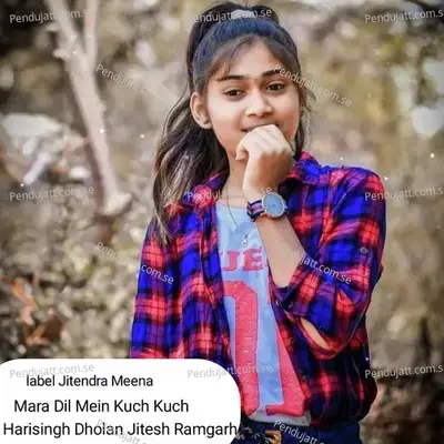 Mara Dil Mein Kuch Kuch - Harisingh dholan album cover 