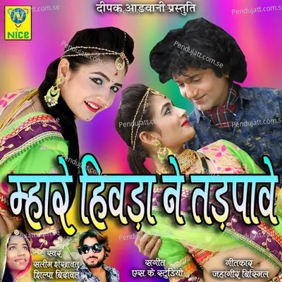 Mara Hivda Ne Tdpave - Salim Shekhawas album cover 