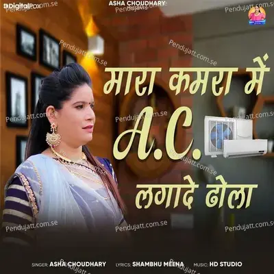 Mara Kamra Me Ac Lagade Dhola - Asha Choudhary album cover 