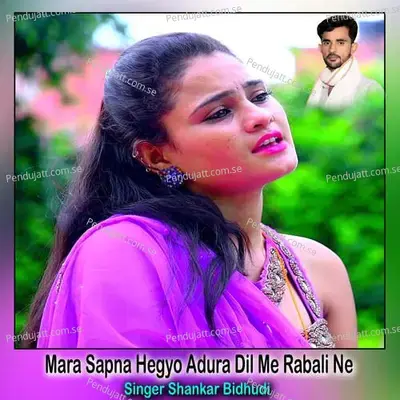 Mara Sapna Hegyo Adura Dil Me Rabali Ne - Shankar Bidhudi album cover 