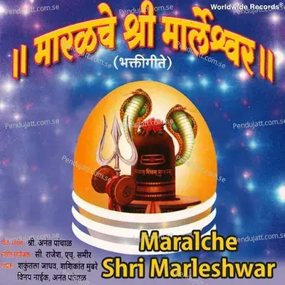 Maharashrtachya Kushit Shobhe - Anant Panchal album cover 