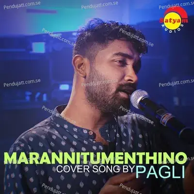 Marannittumenthino - Pagli album cover 