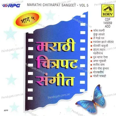 Aaj Anandi Anand Zala - Prabhakar Jog album cover 