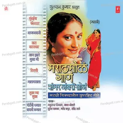 Jeevan Ase Rangdaar - Anuradha Paudwal album cover 