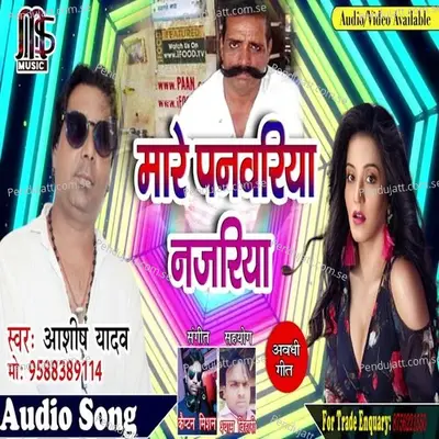 Mare Panwariya Najariya - Ashish Yadav album cover 