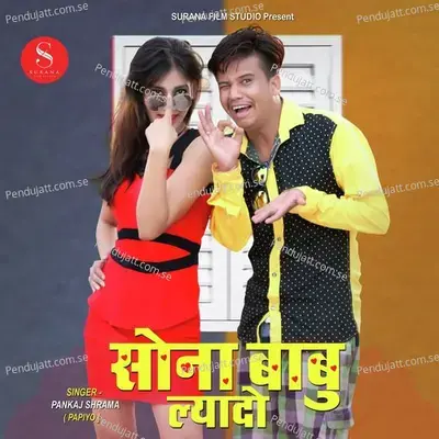 Mare Sona Babu Laido - Pankaj Sharma