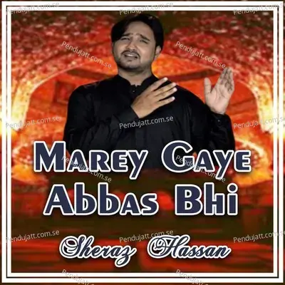 Marey Gaye Abbas Bhi - Sheraz Hassan album cover 