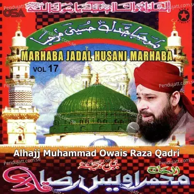 Marhaba Jadal Husani Marhaba  Vol  17 - Alhajj Muhammad Owais Raza Qadri cover album