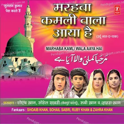 Allah Hu Allah Hu Allah Hu - Haji Tasleem Aarif album cover 