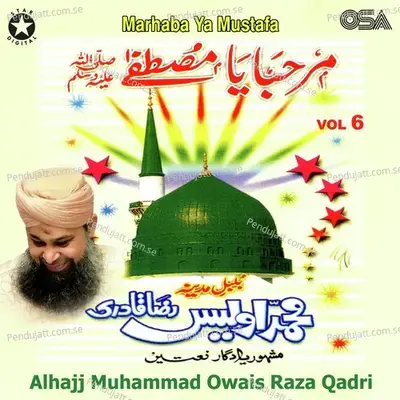 Pukaro Ya Rasool Allah - Alhajj Muhammad Owais Raza Qadri album cover 