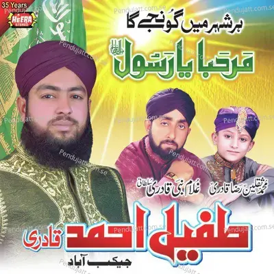 Maula Ali Se Piyar Hai - Tufail Ahmed Qadri album cover 