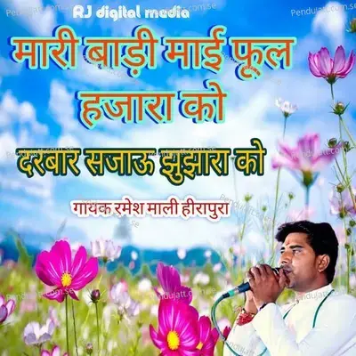 Mari Badi My Ful Hajara Ko Darbar Sajav Jujara Ko - Ramesh Mali album cover 
