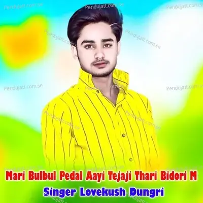 Mari Bulbul Pedal Aayi Tejaji Thari Bidori M - Lovekush Dungri album cover 