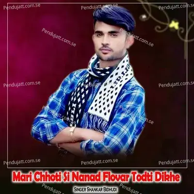 Mari Chhoti Si Nanad Flovar Todti Dikhe - Shankar Bidhudi