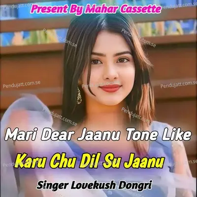Mari Dear Jaanu Tone Like Karu Chu Dil Su Jaanu - Lovekush Dungri album cover 