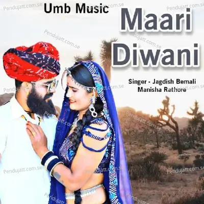 Mari Diwani - Jagdish Bemali album cover 