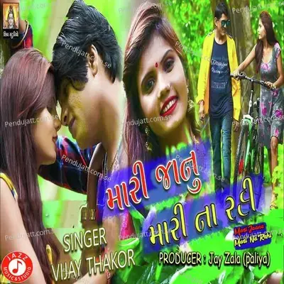 Mari Jaanu Mari Na Rahi - Vijay Thakor album cover 