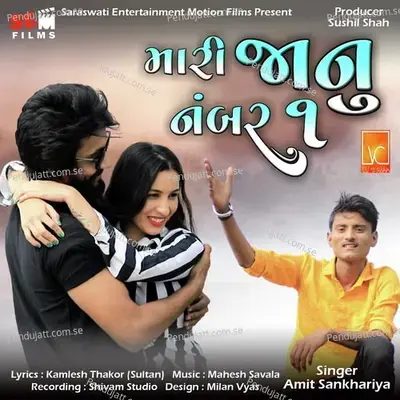 Mari Jaanu No  1 - Amit Sankhariya album cover 