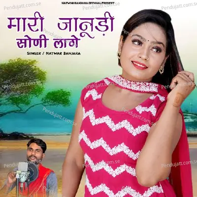 Mari Jaanudi Soni Lage - Natwar Banjara album cover 