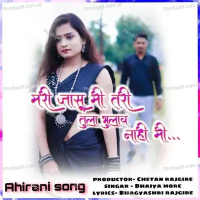 Mari Jaasu Mi Tari Tula Bhulav Nahi Mi - Bhaiya More album cover 