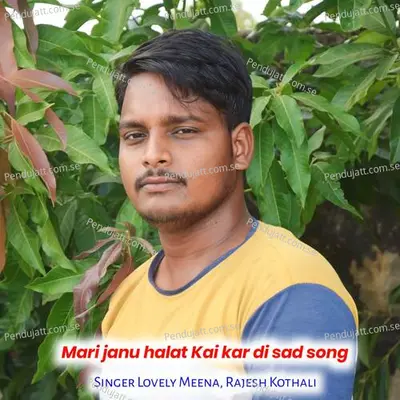 Mari Janu Halat Kai Kar Di Sad Song - Lovely Meena album cover 