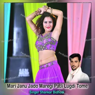 Mari Janu Jado Maregi Patli Lugdi Tome - Shankar Bidhudi album cover 