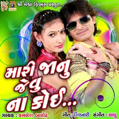 Mari Janu Jevu Na Ko - Kamlesh Barot album cover 