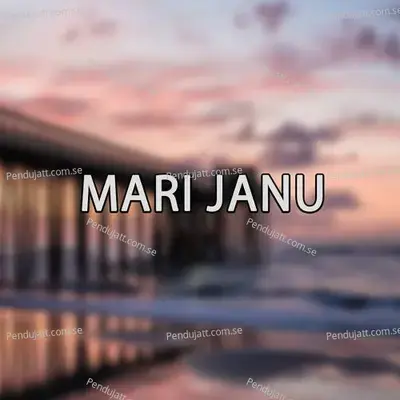Mari Janu - SANWAR MALI MALIPURA album cover 