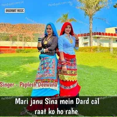 Mari Janu Sina Mein Dard Cal Raat Ko Ho Rahe - Paplesh deewana album cover 