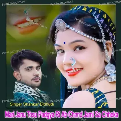 Mari Janu Tosu Padgya Ri Ab Chand Jami Sa Chheka - Shankar Bidhudi