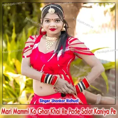 Mari Mammi Ko Ghar Khai Re Pade Salot Kaniya Pe - Shankar Bidhudi