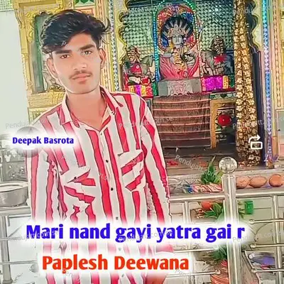 Mari Nand Gayi Yatra Gai R - Paplesh deewana album cover 