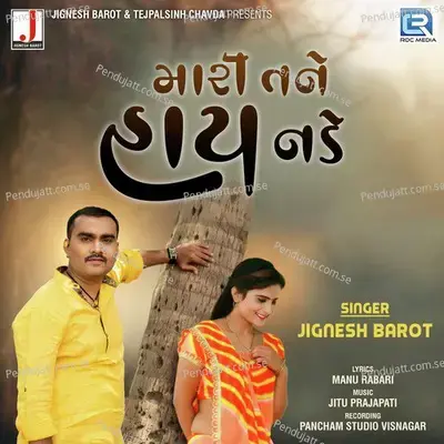 Mari Tane Haay Nade - Jignesh Barot album cover 