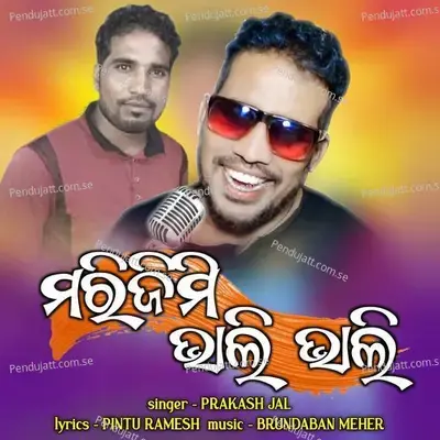 Marijimi Bhali Bhali - Prakash Jal album cover 