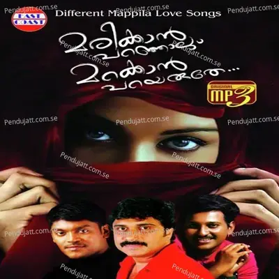 Manavattipenninte Kayyil - Simi album cover 