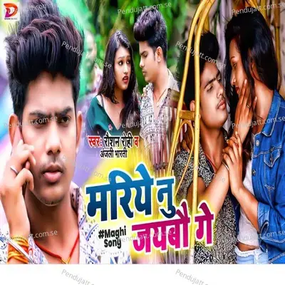 Mariye Nu Jaybo Ge - Anjali Bharti album cover 