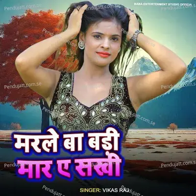 Marle Ba Badi Mar A Sakhi - Vikas Raj album cover 