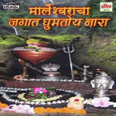 Marlshwaracha Jagat Gumtoy Naara - 1 - Shrikrishna Sawant album cover 