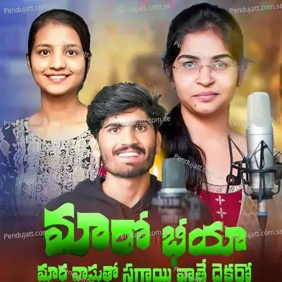 Maro Bhiya Mara Vasuto Sagayi Vate Dekaro - Ali Banjara album cover 