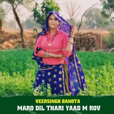 Maro Dil Thari Yaad M Rov - Veersingh Banota album cover 